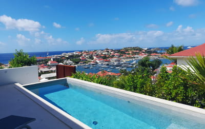 GRENADINES