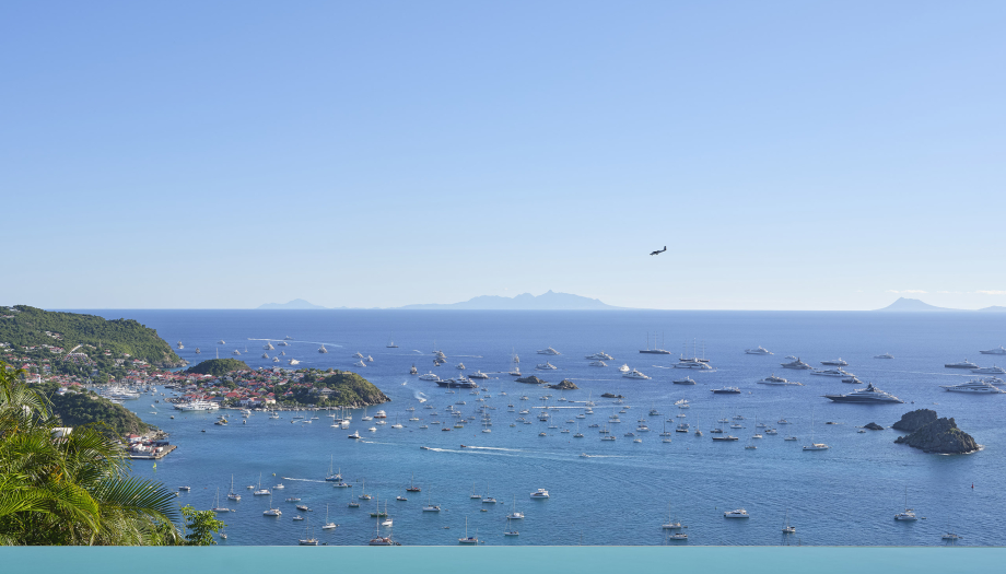 VIEW ( THE )